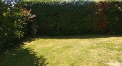 lawn with hedges