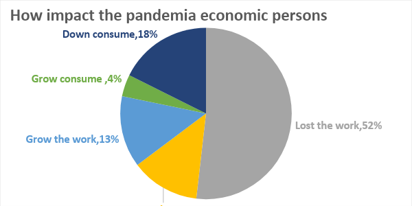 How the pandemic impacted people economically.